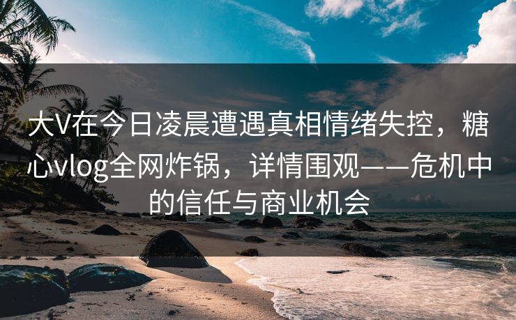 大V在今日凌晨遭遇真相情绪失控，糖心vlog全网炸锅，详情围观——危机中的信任与商业机会