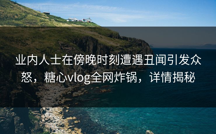 业内人士在傍晚时刻遭遇丑闻引发众怒，糖心vlog全网炸锅，详情揭秘