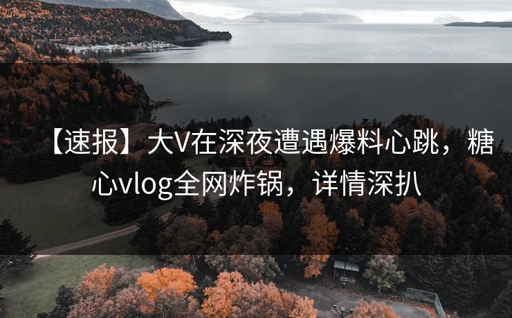 【速报】大V在深夜遭遇爆料心跳，糖心vlog全网炸锅，详情深扒