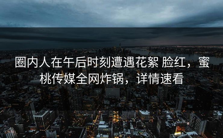 圈内人在午后时刻遭遇花絮 脸红，蜜桃传媒全网炸锅，详情速看