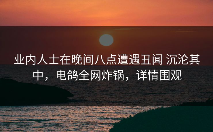 业内人士在晚间八点遭遇丑闻 沉沦其中，电鸽全网炸锅，详情围观